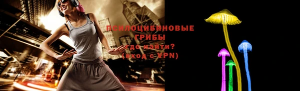 круглые Абаза