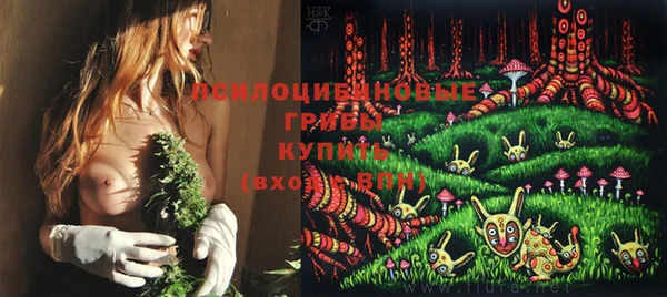 МДМА Алексеевка